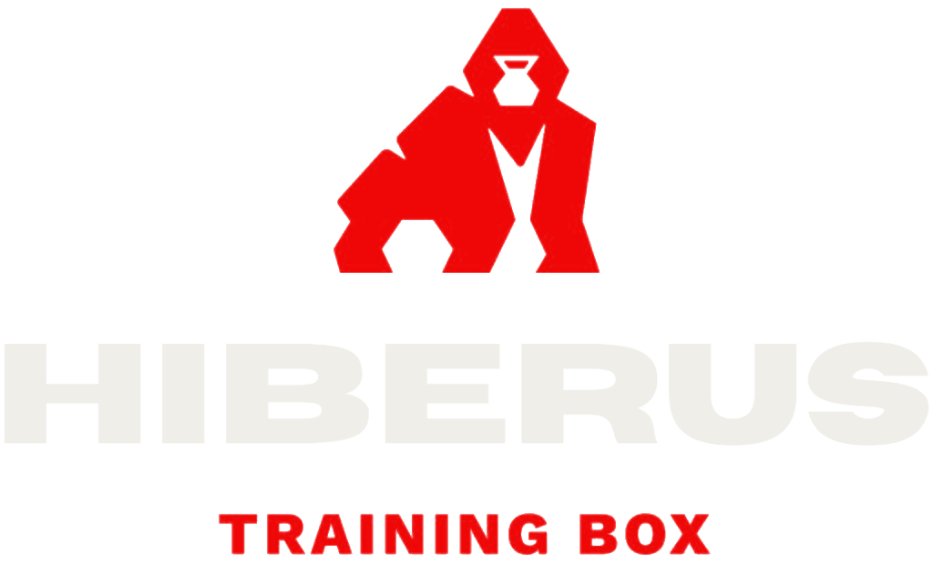 Hiberus Training Box
