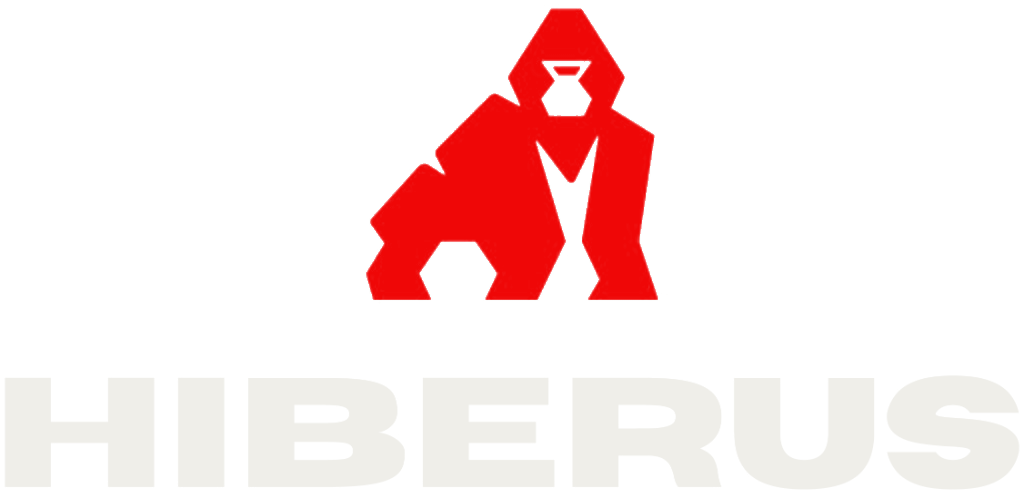 Hiberus Training Box